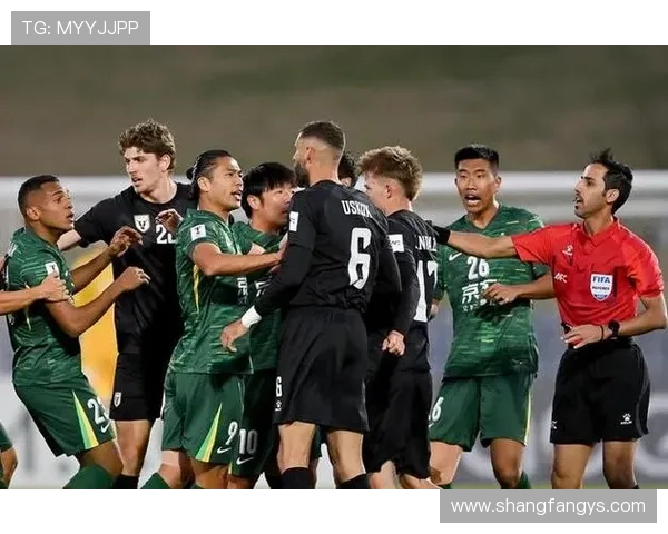 雨燕直播体育免费看赛事盛宴