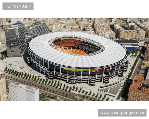 近三百瓦伦球迷抗议梅斯塔利亚